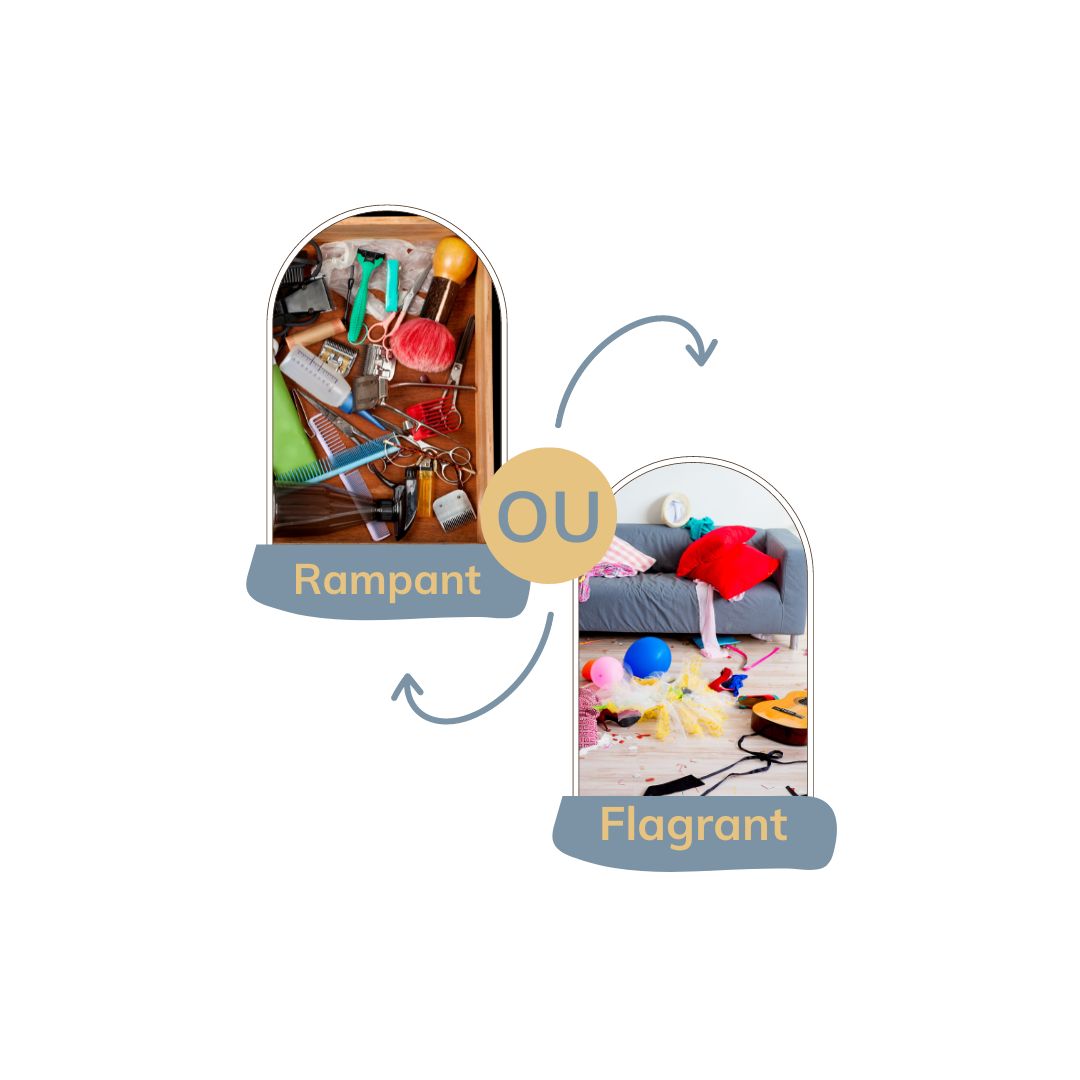 du désordre à l'ordre